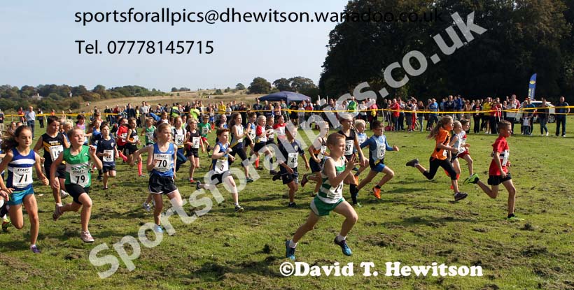 Start of the under-11 boys and girls Sunderland Harreirs Cross Country. Photo: David T. Hewitson/Sports for All Pics